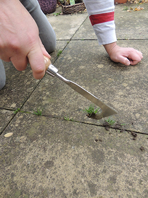 "The angle of the blade was perfect for getting deep in between the paving slabs"