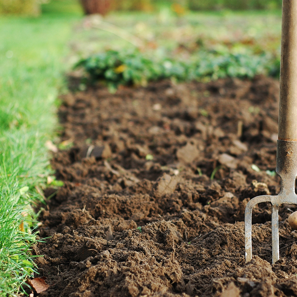 8 Steps to the Perfect Soil