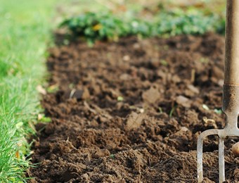 8 Steps to the Perfect Soil