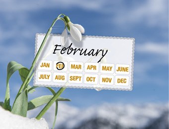 What to do now - February