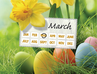 What to do now - March