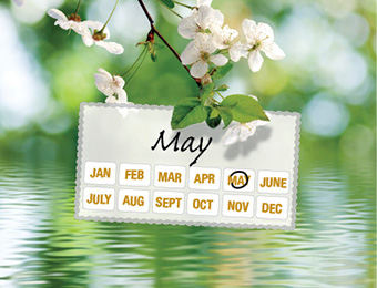 What to do now - May