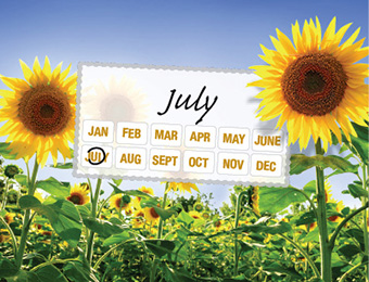 What to do now - July