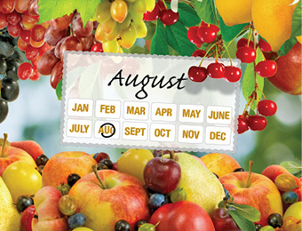 What to do now - August