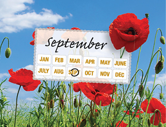 What to do now - September