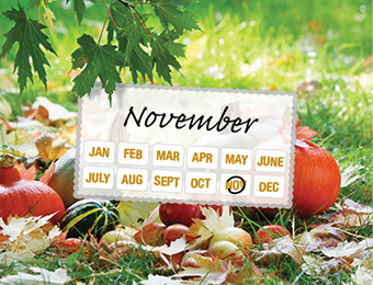 What to do now - November