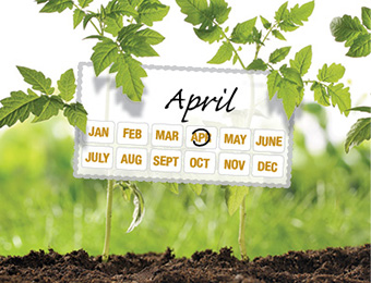 What to do now - April