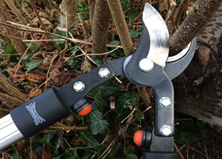 Lucas Hatch's Monthly Review - March 16