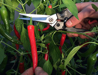 Lucas Hatch's Monthly Review - October 16