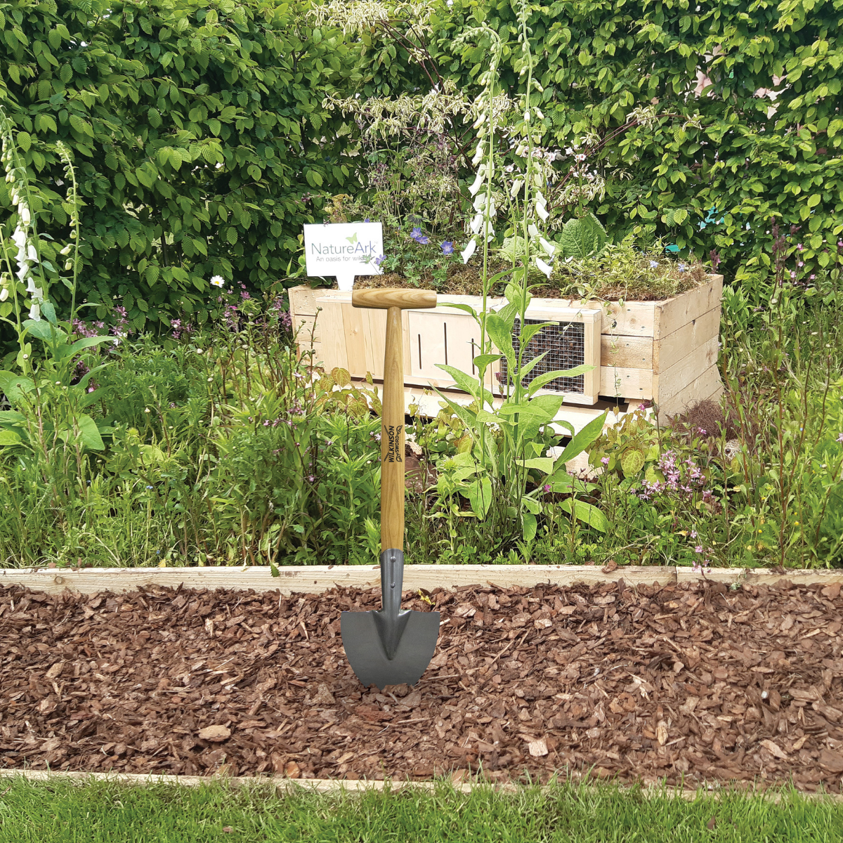 Untitled design (13).png