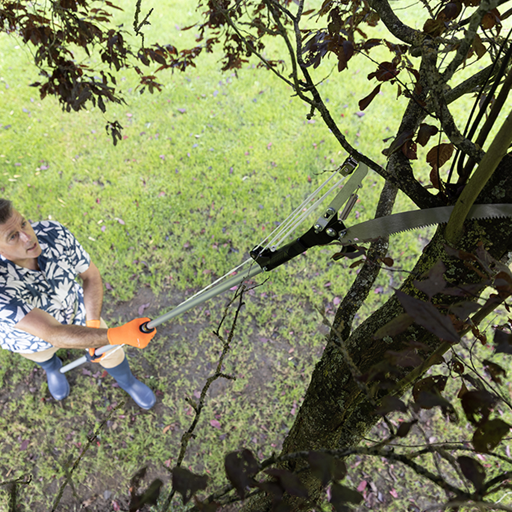 25mm Telescopic tree cutter 1000 X 1000.jpg