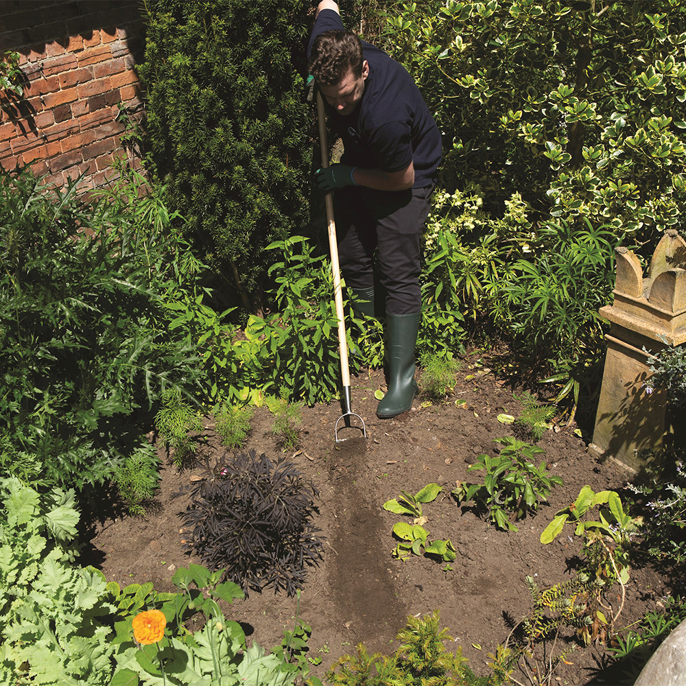 Stainless Steel Dutch Hoe flower beds pic 2.jpg