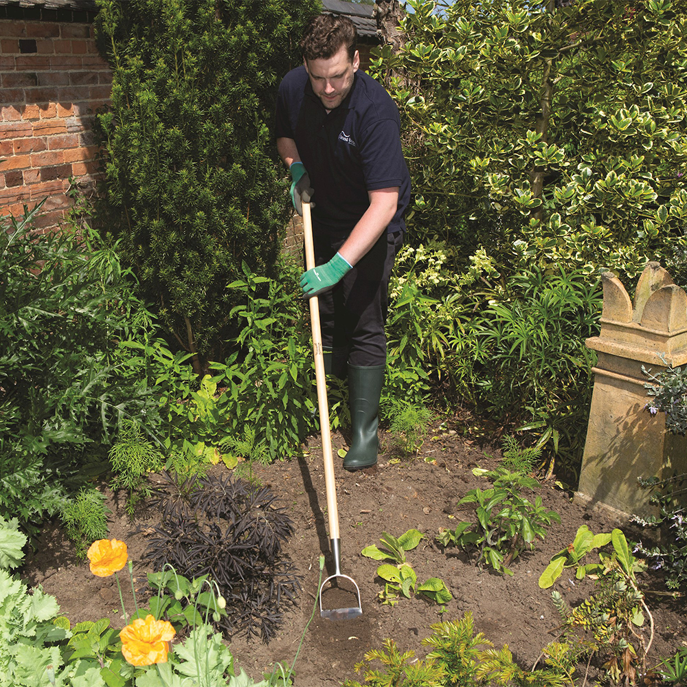 Stainless Steel Dutch Hoe flower beds.jpg