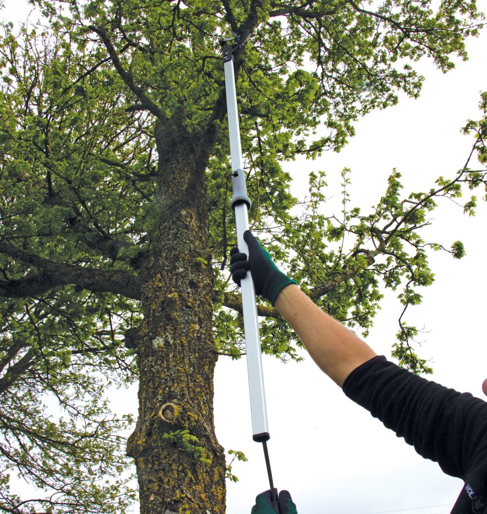 WS Ultralight 1.5m Branch Cutter Lifetsyle 1 - web.jpg