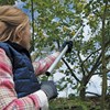 Ultralight Branch cutter handle.jpg