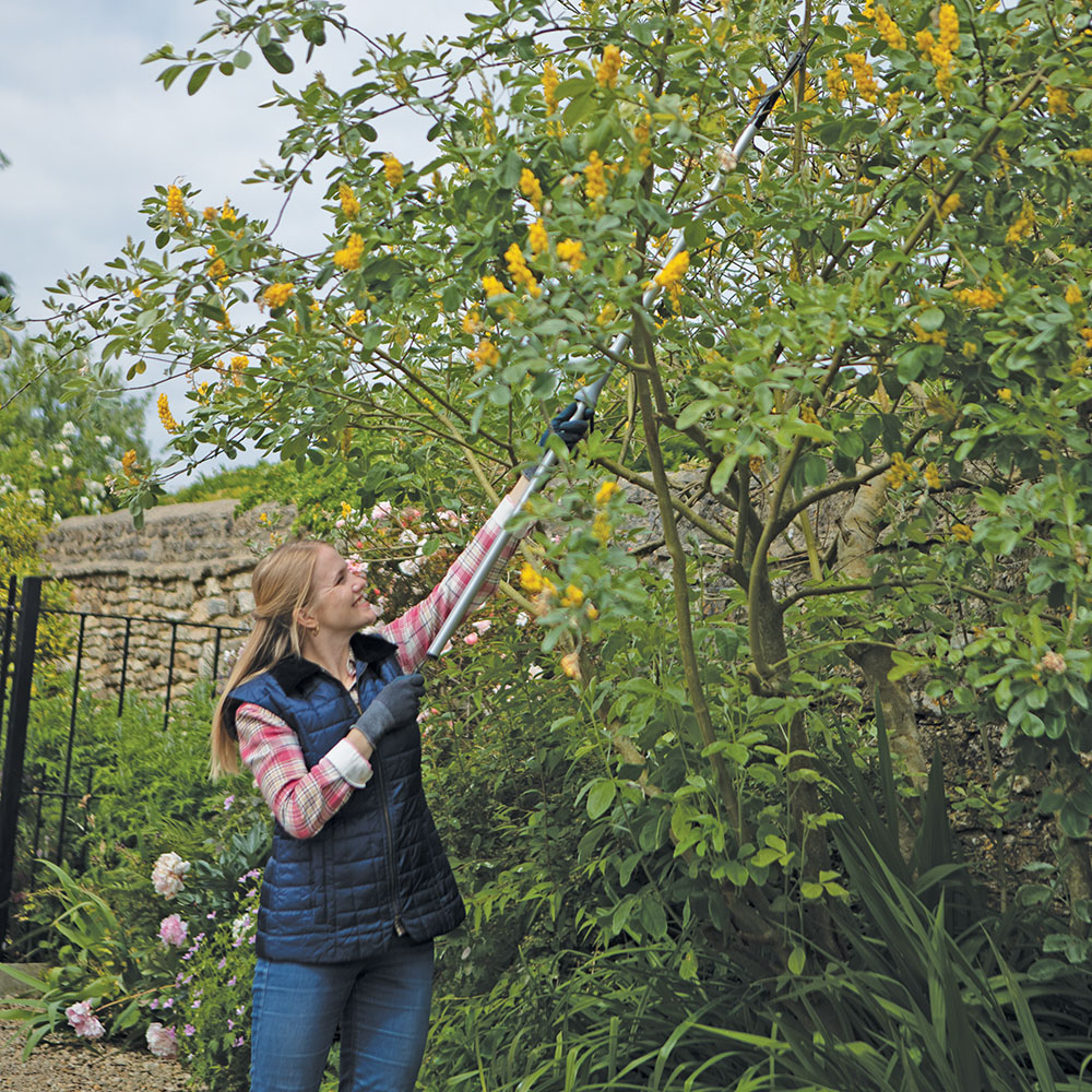 Ultralight Shrub & Branch cutter 2.0.jpg