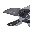 Anvil Head.jpg