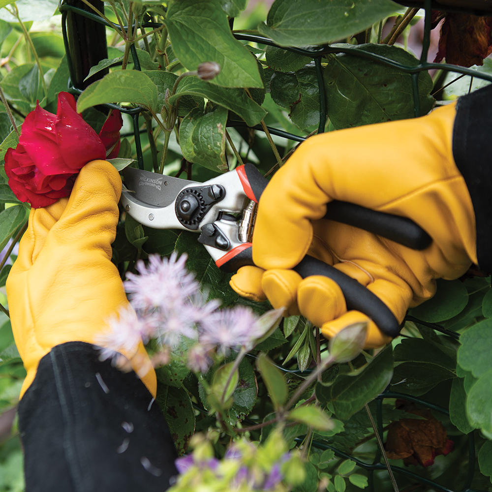 Razorcut Pro Straight Lifestyle.jpg