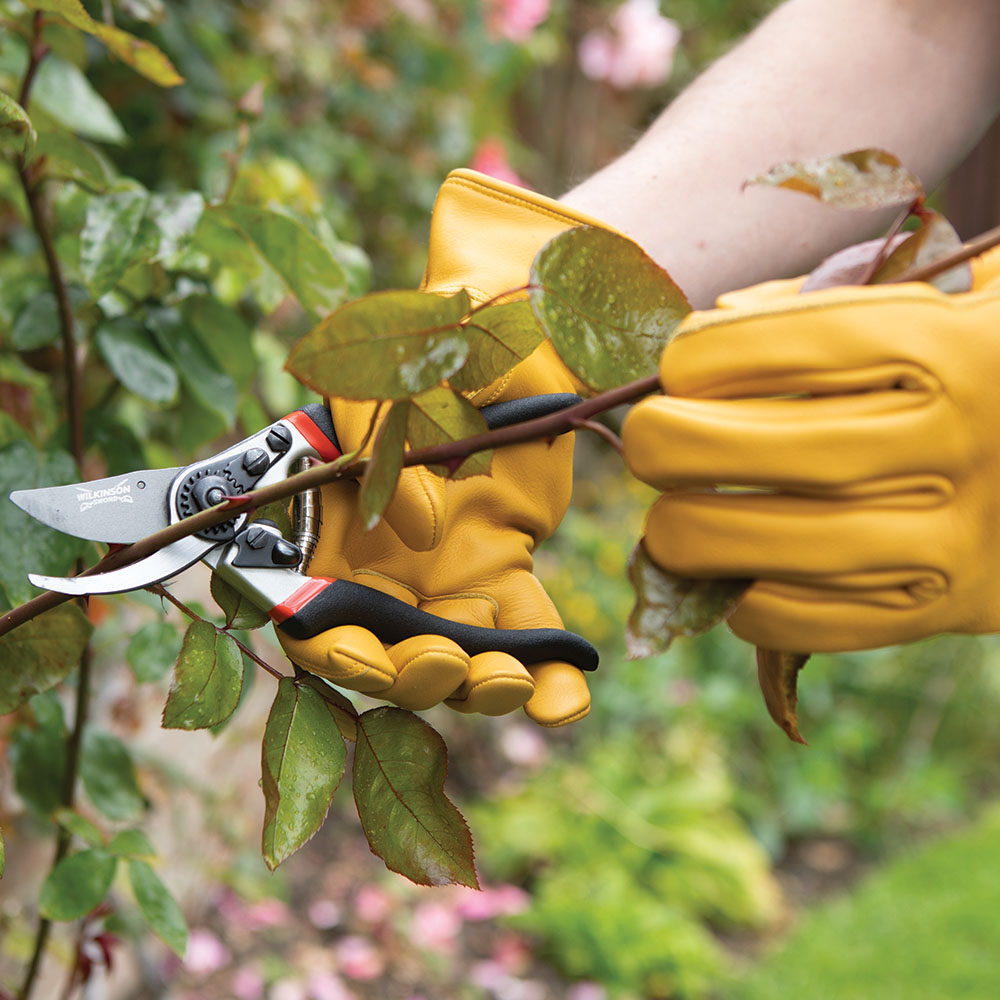 Razorcut PRo angled liferstyle.jpg