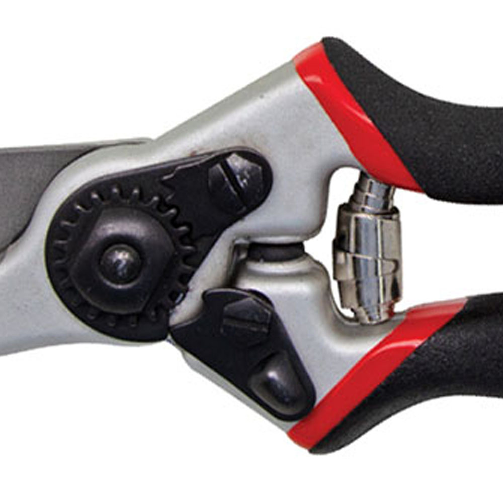 Straight Catch.jpg (1)